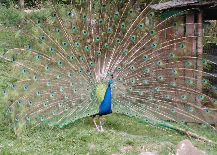 Finca Campestre Rancho Alegre