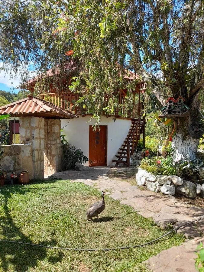 Campestre Rancho Alegre *