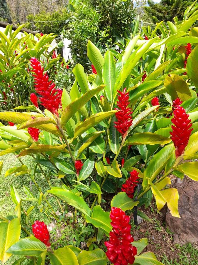 Campestre Rancho Alegre Fusagasuga