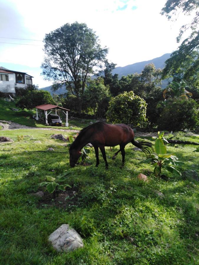 Hotel Campestre Rancho Alegre *